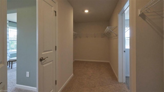 spacious closet featuring light carpet