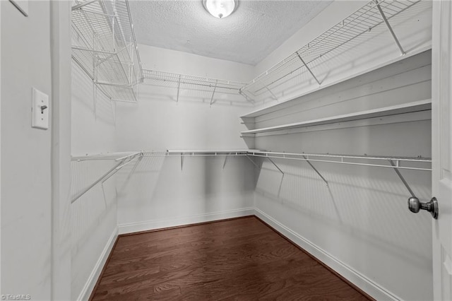 walk in closet with hardwood / wood-style flooring