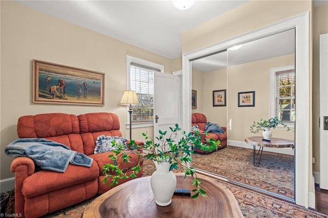 living room featuring hardwood / wood-style floors