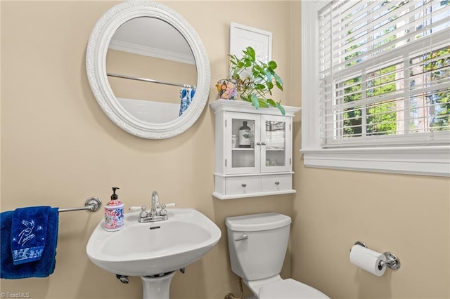 bathroom featuring toilet, ornamental molding, and sink