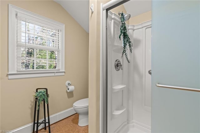 bathroom featuring a shower, lofted ceiling, and toilet