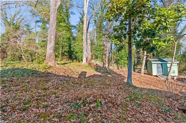 view of yard with a shed