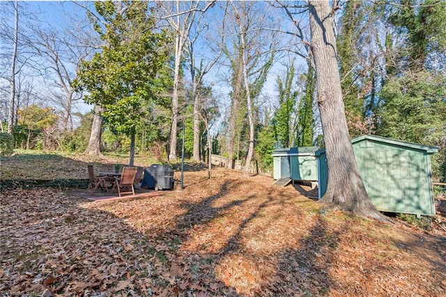 view of yard featuring a storage unit