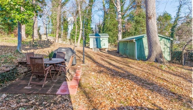 view of yard with a patio area and a shed