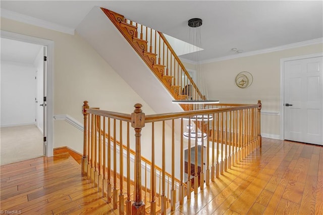 staircase featuring crown molding and hardwood / wood-style floors