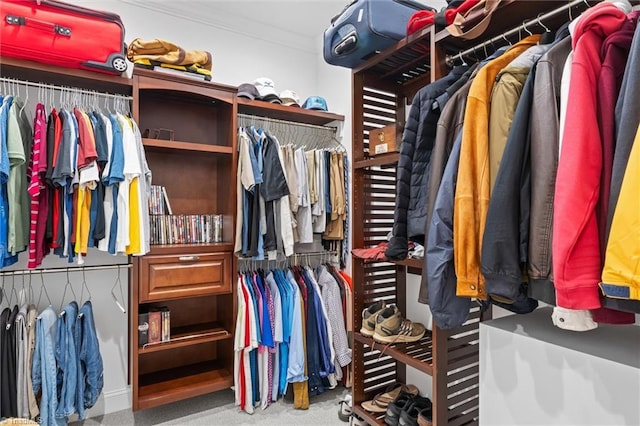 spacious closet with carpet flooring