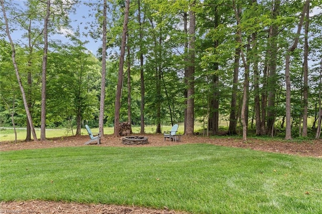 view of green lawn