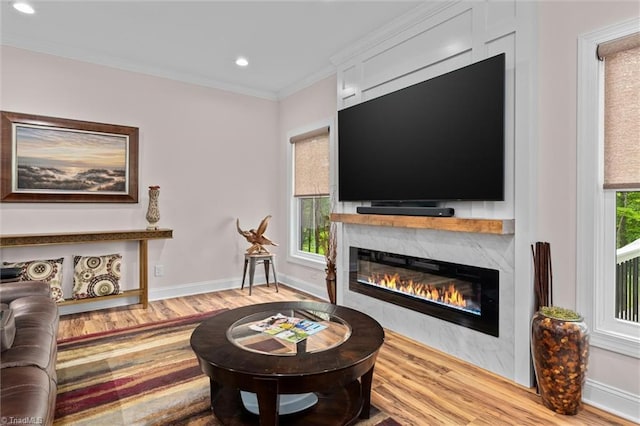 living area featuring wood finished floors, a premium fireplace, crown molding, baseboards, and recessed lighting
