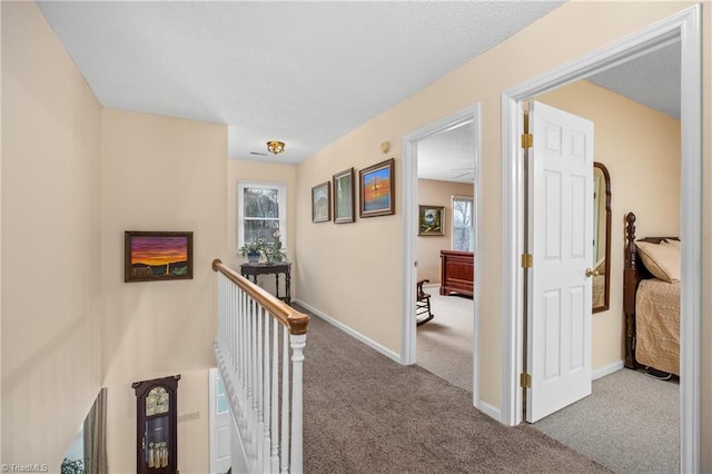 hallway featuring carpet and a healthy amount of sunlight