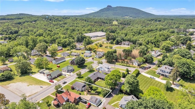 307 S Key St, Pilot Mountain, NC 27041 - view of property location featuring a forest, a mountain backdrop, and property boundaries highlighted