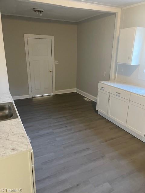 unfurnished dining area with crown molding, dark hardwood / wood-style floors, and sink