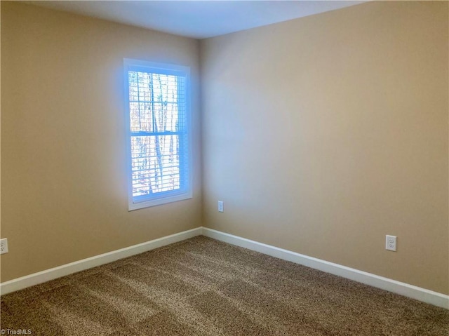 empty room featuring carpet floors