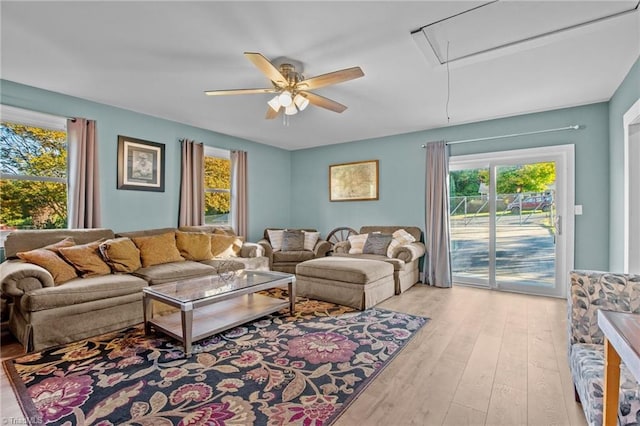 living room featuring ceiling fan, a wealth of natural light, and light wood-type flooring