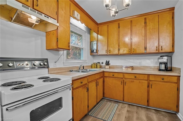 kitchen featuring white electric range, a notable chandelier, sink, and light hardwood / wood-style floors