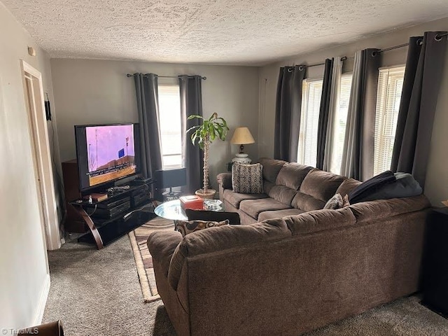 carpeted living room with a textured ceiling