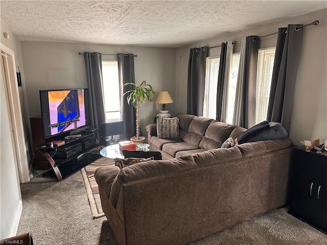 living room featuring carpet flooring and a textured ceiling