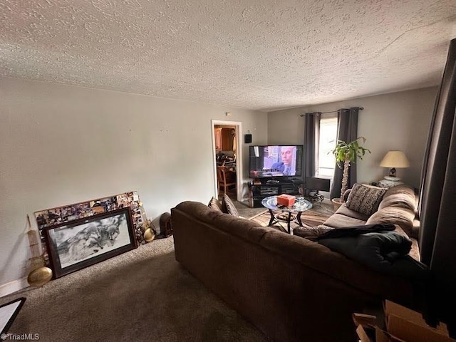 living room with carpet and a textured ceiling