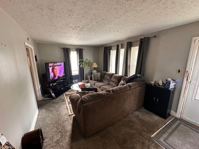 carpeted living room with a textured ceiling