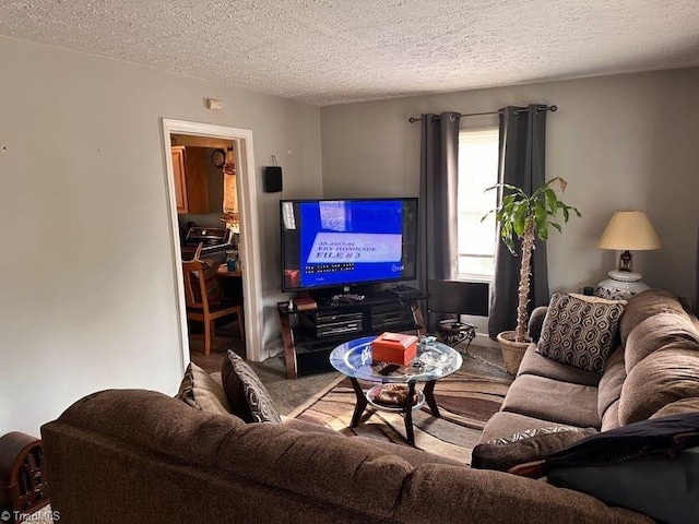 living room featuring a textured ceiling