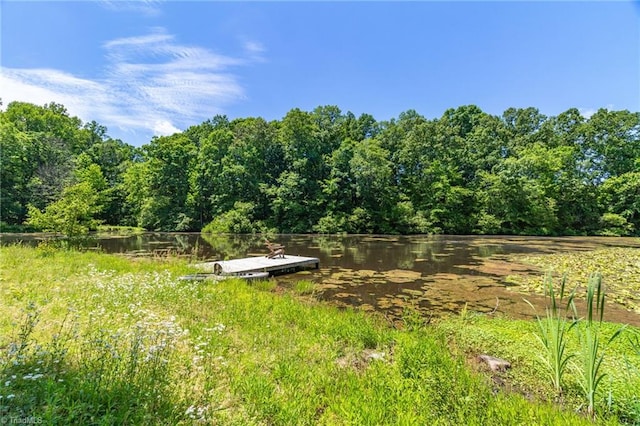 view of yard featuring a water view, a view of trees, and a dock