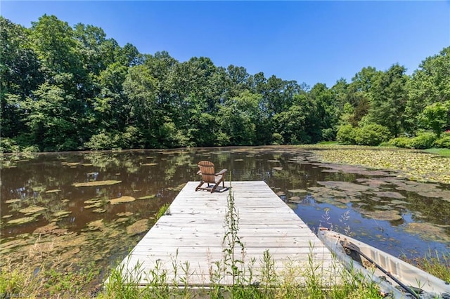 dock with a water view and a wooded view