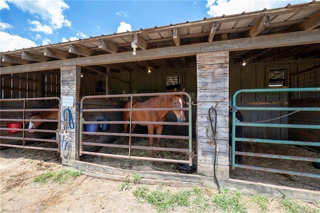 view of stable