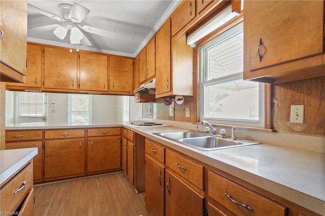 kitchen with ceiling fan, sink, white electric cooktop, ornamental molding, and light hardwood / wood-style flooring