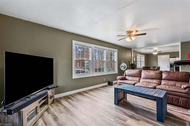 living room with ceiling fan and light wood-type flooring