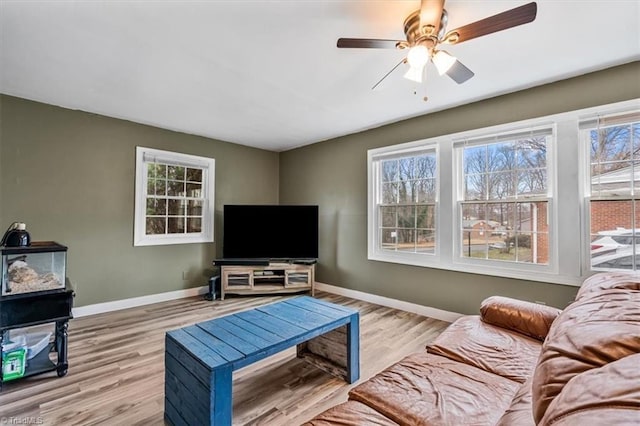 living room featuring ceiling fan and light hardwood / wood-style floors