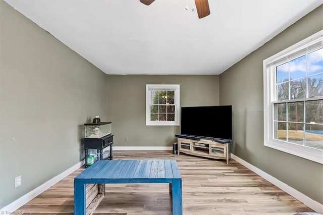 living room with light hardwood / wood-style floors and ceiling fan