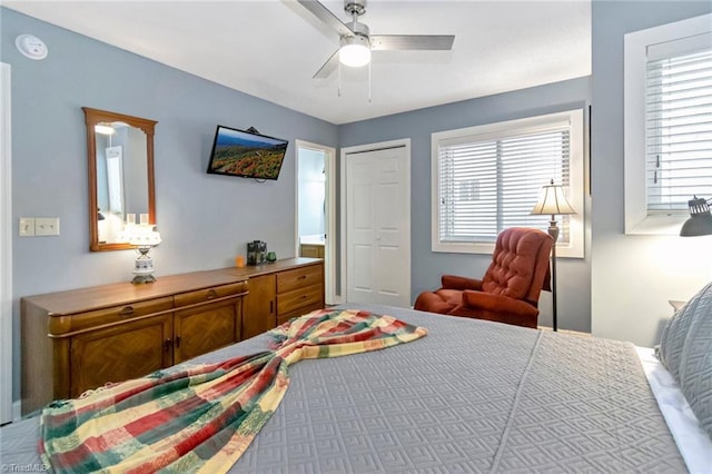 bedroom with multiple windows and ceiling fan