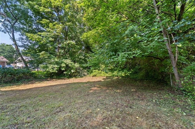 1278 Tredwell Dr, Winston-Salem, NC 27103 - view of yard