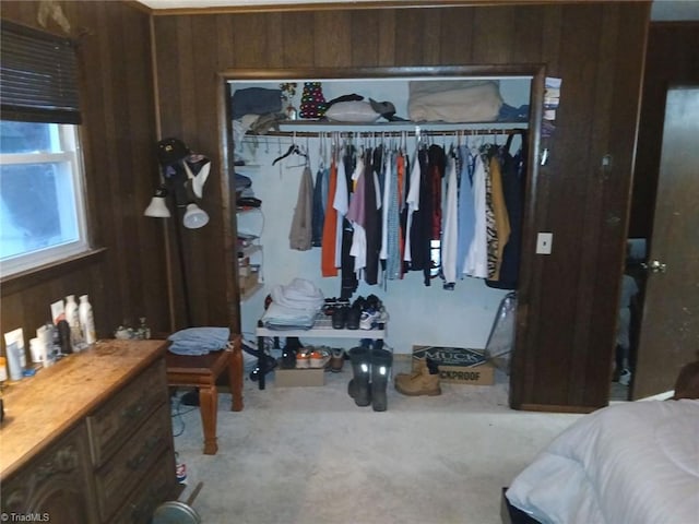 view of closet