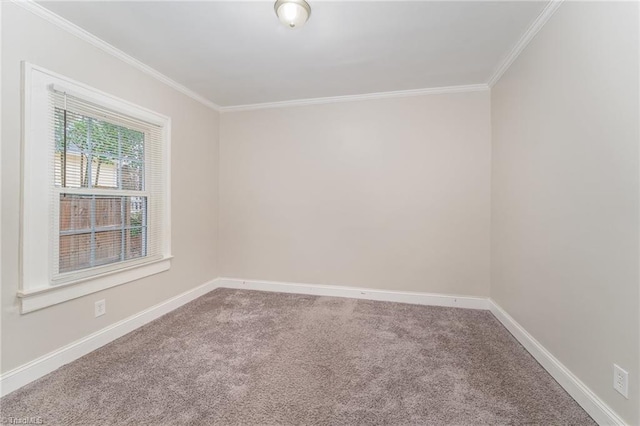 unfurnished room featuring carpet and ornamental molding