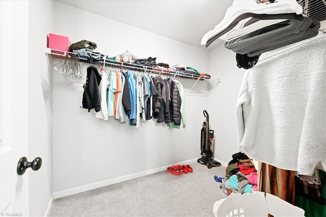 spacious closet featuring carpet floors