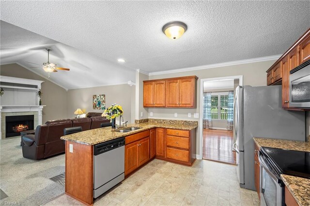 269 Country Villa Dr, Lexington, NC 27295 - kitchen featuring appliances with stainless steel finishes, a sink, a peninsula, ceiling fan, and brown cabinetry