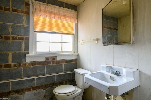 bathroom featuring wooden walls, sink, and toilet