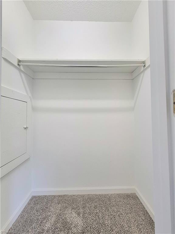 1018 Cedar Place Ct, Winston-Salem, NC 27107 - spacious closet featuring carpet flooring