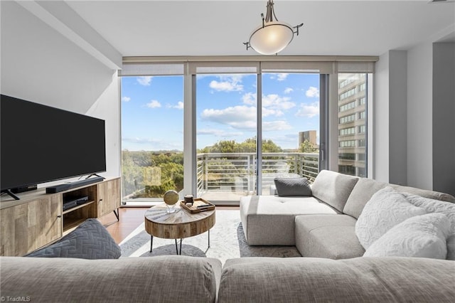 living room featuring light wood-type flooring and expansive windows