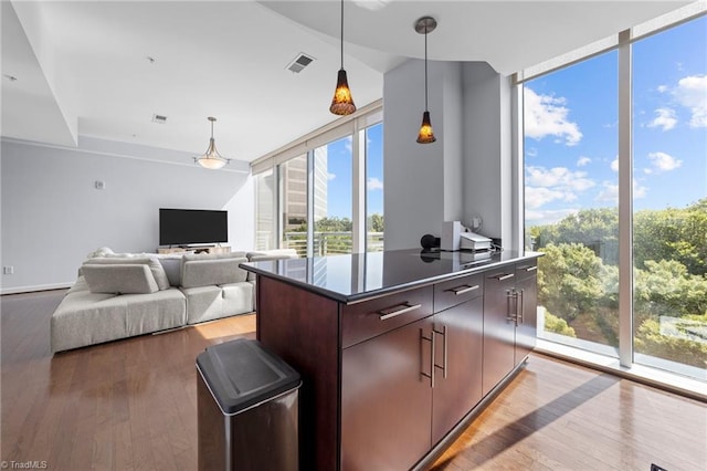 kitchen with plenty of natural light, light wood-type flooring, and dark brown cabinets