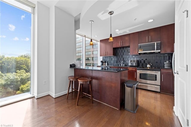 kitchen featuring dark wood-type flooring, appliances with stainless steel finishes, a wealth of natural light, and decorative backsplash