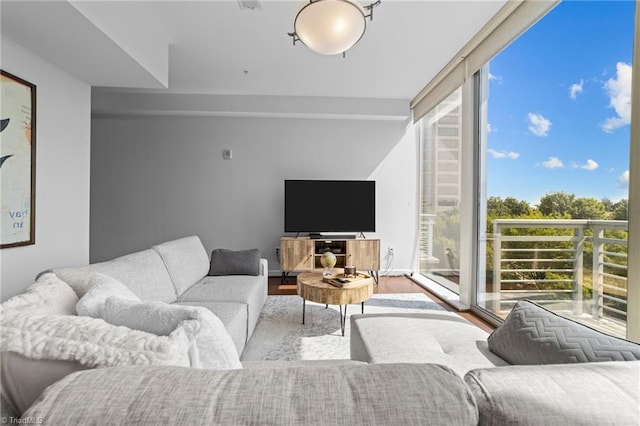 living room featuring light hardwood / wood-style floors