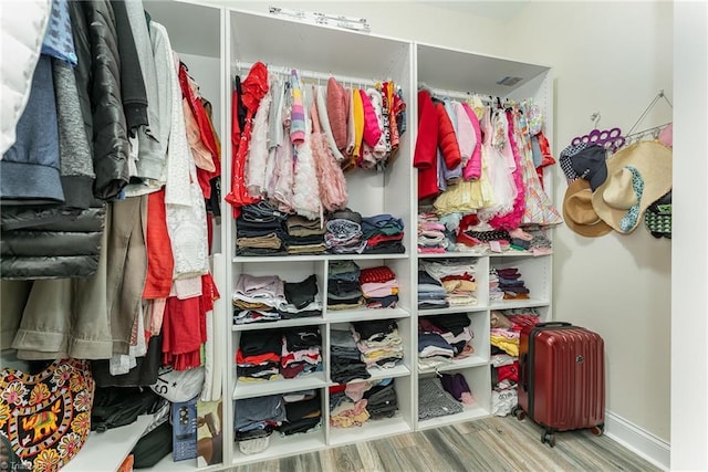 2452 Tannin Ct, High Point, NC 27265 - walk in closet featuring wood finished floors and radiator heating unit
