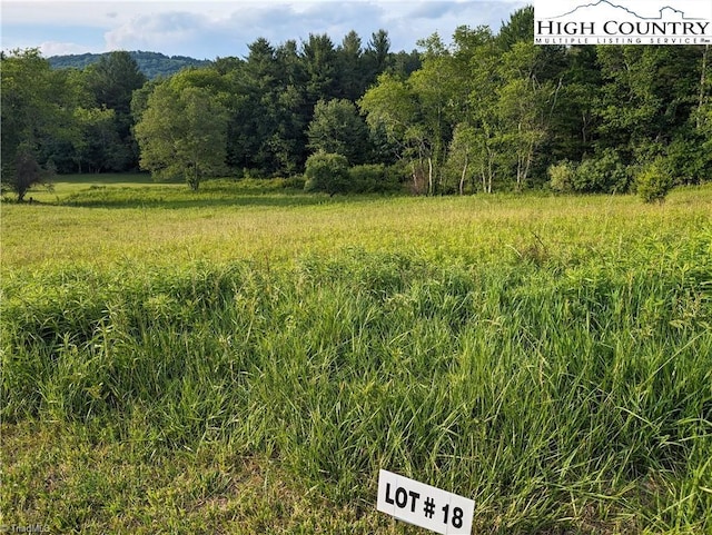 Listing photo 2 for LOT18 Fraser Rd, Sparta NC 28675