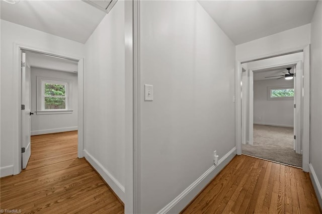 hallway with a wealth of natural light, baseboards, and wood finished floors