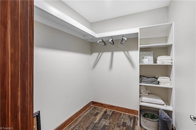 spacious closet featuring dark hardwood / wood-style flooring