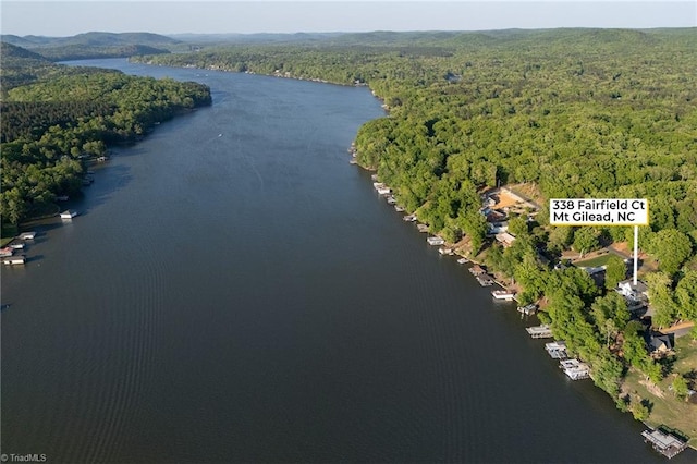 338 Fairfield Ct, Mount Gilead, NC 27306 - aerial view of property and surrounding area with a forest and a nearby body of water