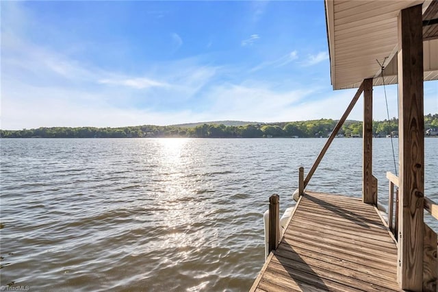 338 Fairfield Ct, Mount Gilead, NC 27306 - dock with a water view