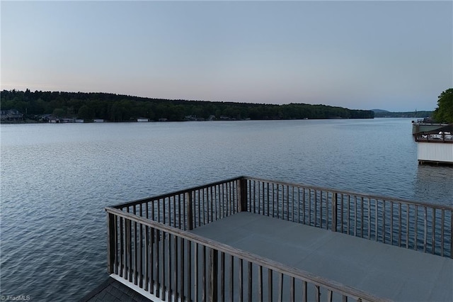 338 Fairfield Ct, Mount Gilead, NC 27306 - dock with a water view