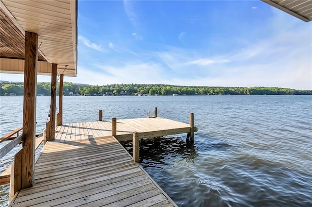 338 Fairfield Ct, Mount Gilead, NC 27306 - dock with a water view